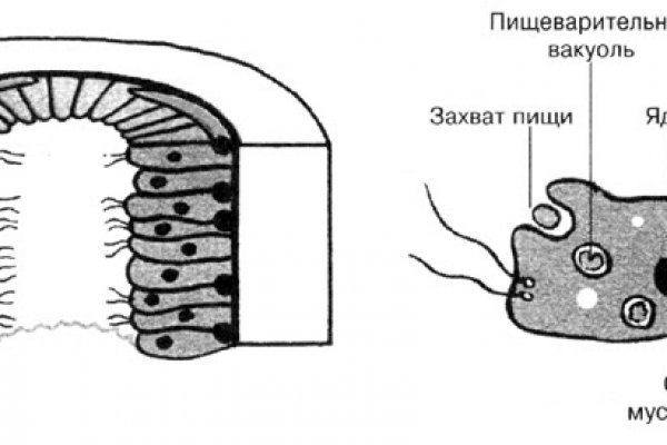 Кракен сайт 2krnk cc