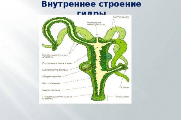 Кракен как попасть