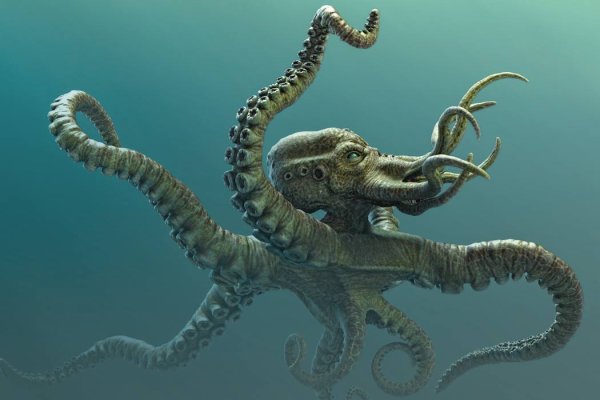 Kraken ссылка kraken014 com